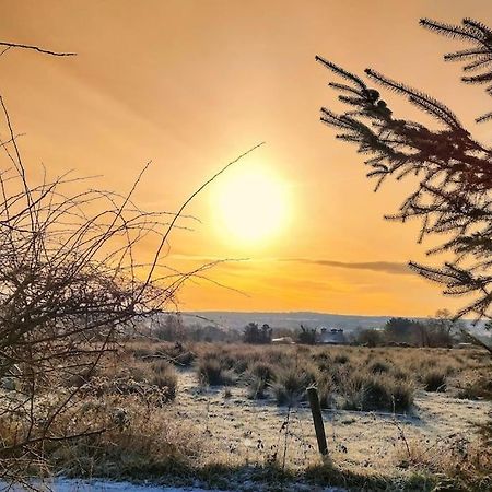 Forest View Cabin Ballaghaderreen Zewnętrze zdjęcie