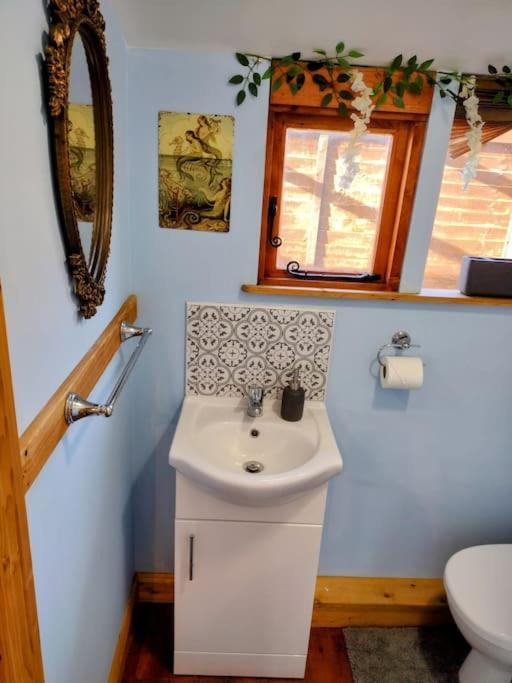 Forest View Cabin Ballaghaderreen Zewnętrze zdjęcie