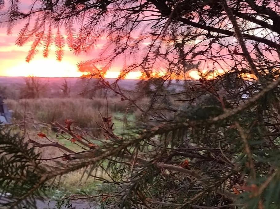 Forest View Cabin Ballaghaderreen Zewnętrze zdjęcie