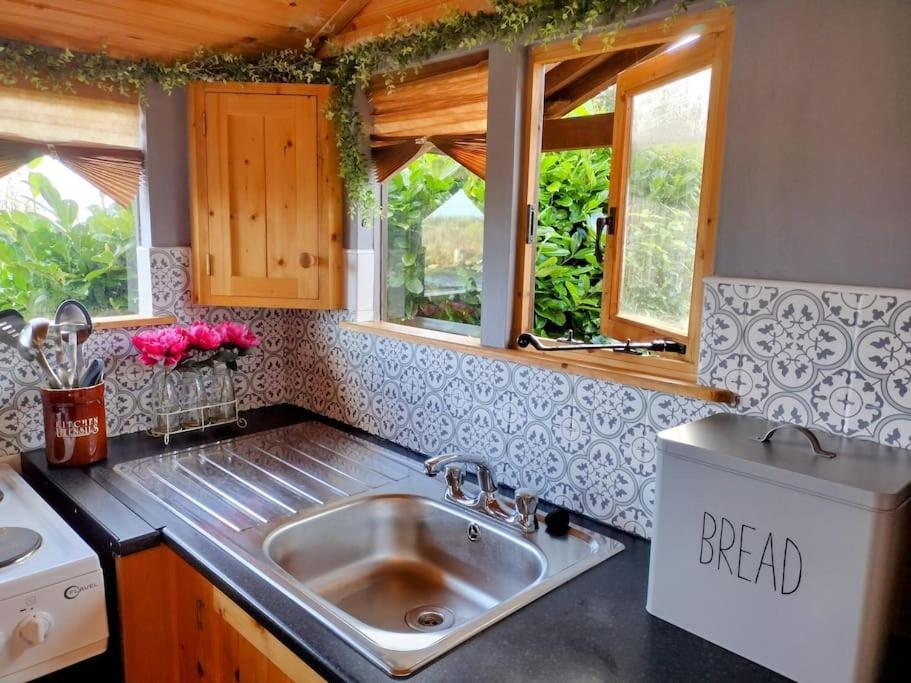 Forest View Cabin Ballaghaderreen Zewnętrze zdjęcie