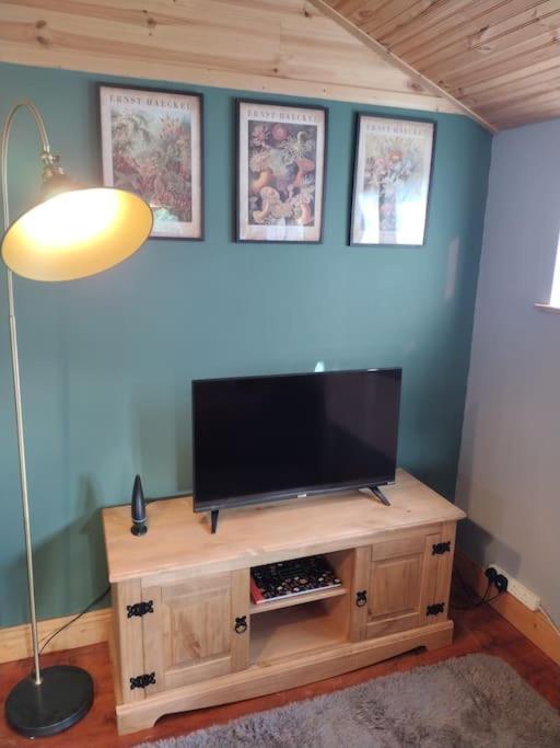 Forest View Cabin Ballaghaderreen Zewnętrze zdjęcie