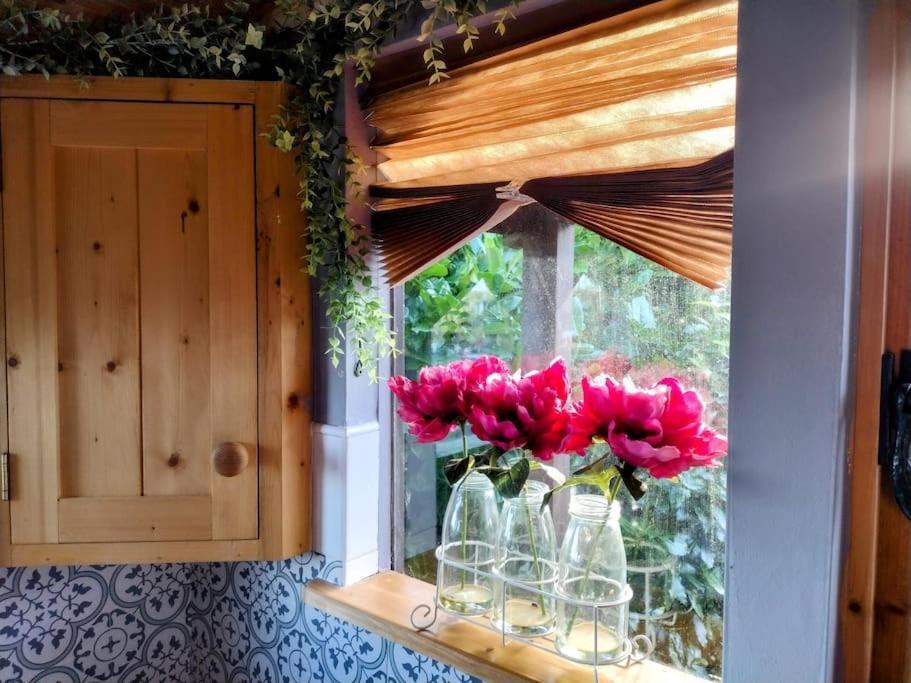 Forest View Cabin Ballaghaderreen Zewnętrze zdjęcie