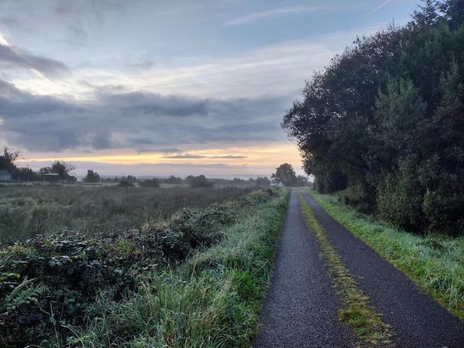 Forest View Cabin Ballaghaderreen Zewnętrze zdjęcie