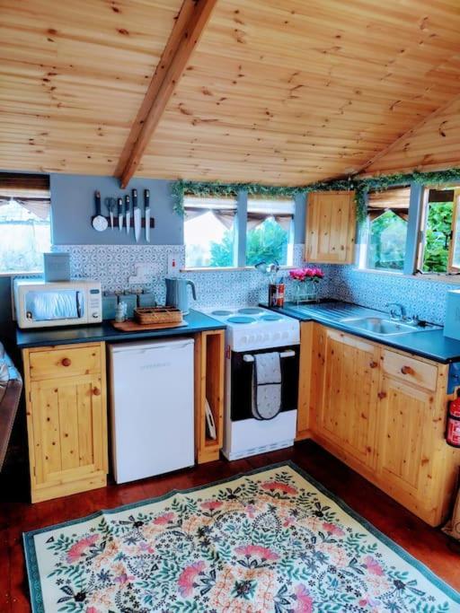 Forest View Cabin Ballaghaderreen Zewnętrze zdjęcie